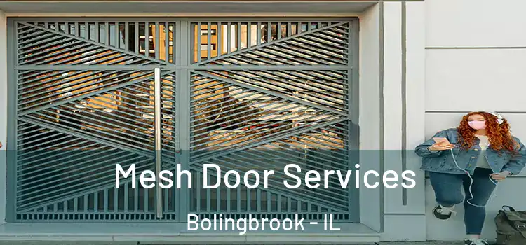 Mesh Door Services Bolingbrook - IL